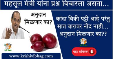 Onion Subsidy Maharashtra Farmer