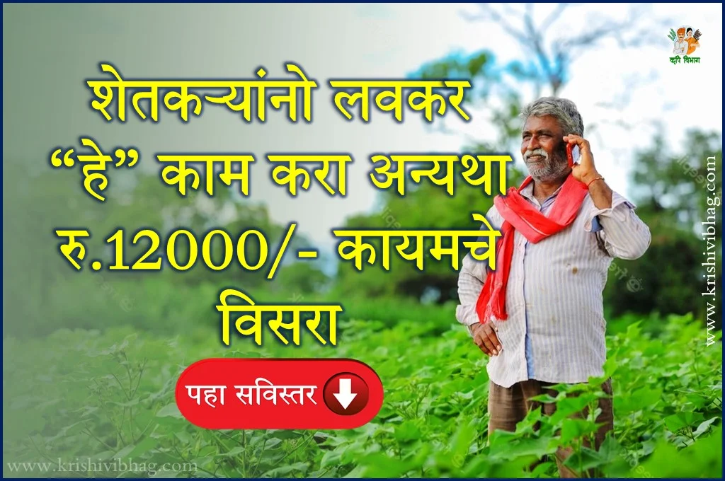 pm kisan namo scheme update