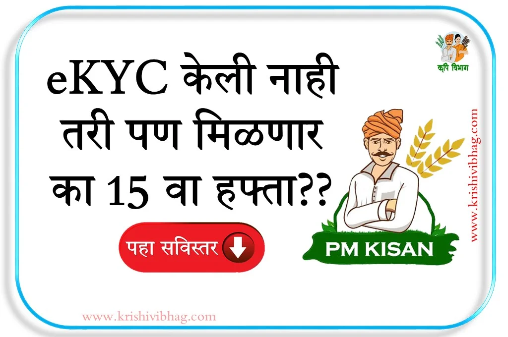 pm kisan yojana update