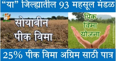 Agricultural Insurance Advance Payment Nanded