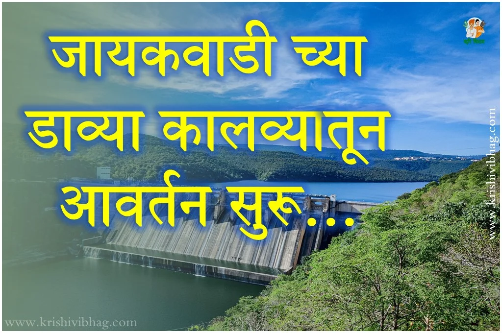 Jaikwadi Dam Rotation