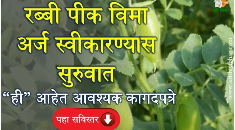 Rabi Crop Insurance