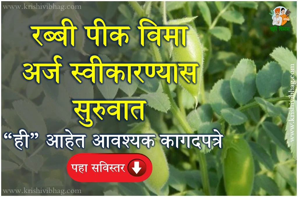 Rabi Crop Insurance