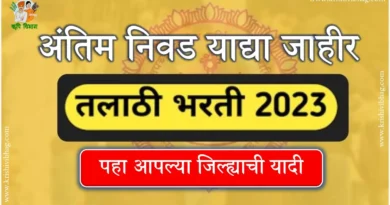 तलाठी भरती 2023 Talathi Bharti 2023