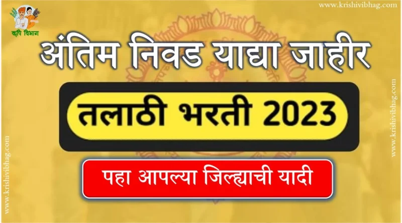 तलाठी भरती 2023 Talathi Bharti 2023