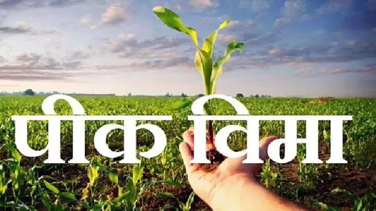 Crop Insurance पीक विमा योजना