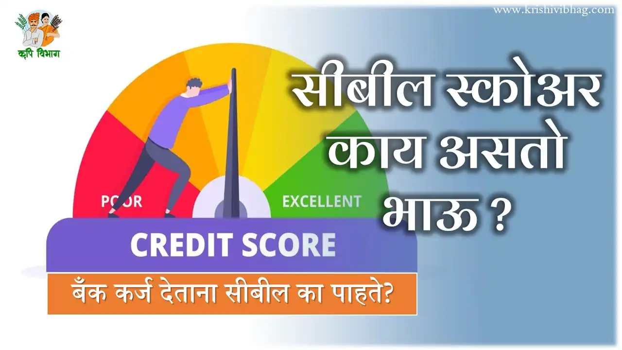 Cibil Score Crop Loan