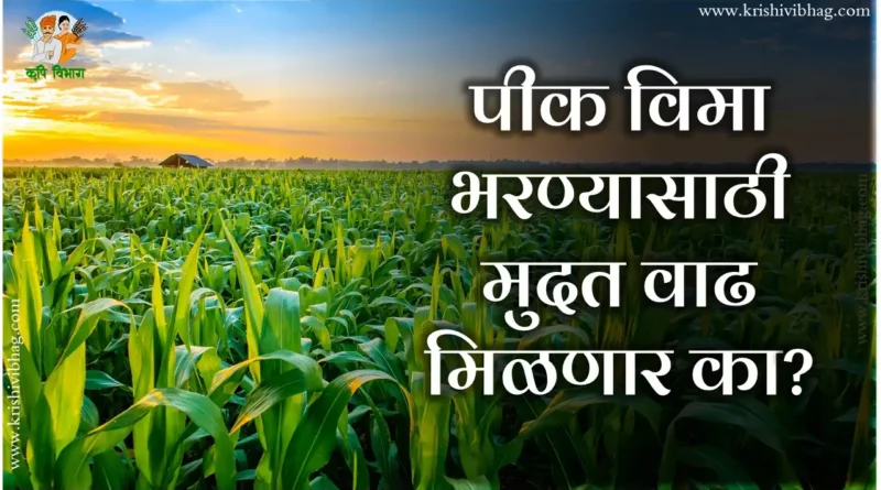 Pik Vima Mudatvadh crop insurance