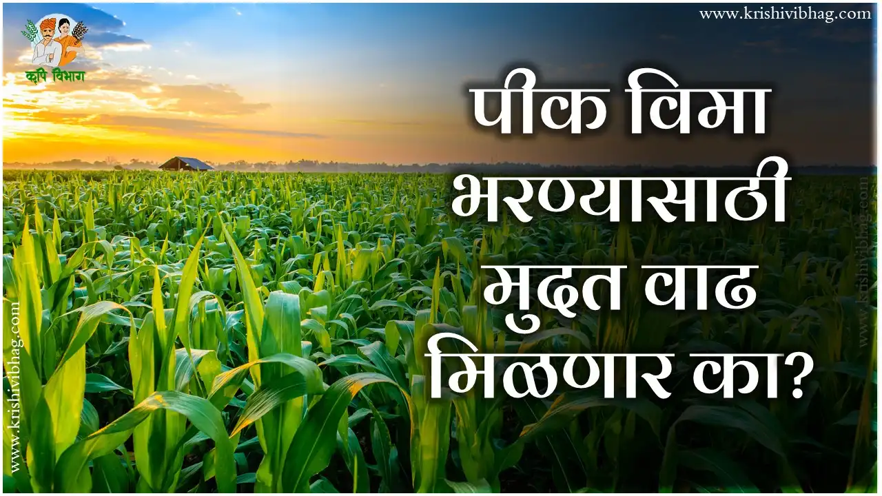 Pik Vima Mudatvadh crop insurance