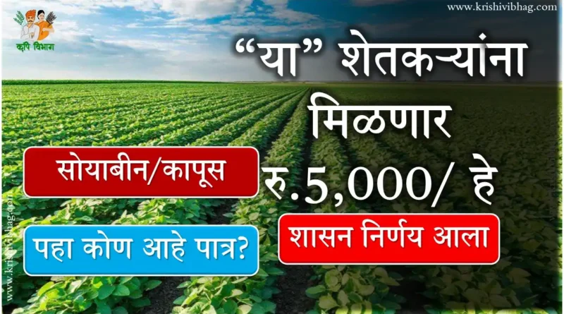 सोयाबीन कापूस अनुदान Soyabin Cotton Subsidy