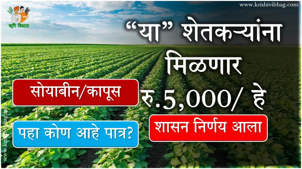 सोयाबीन कापूस अनुदान Soyabin Cotton Subsidy