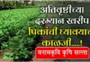 Excess Rainfall Crop Care Vnmkv (1)