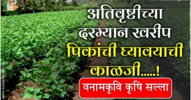 Excess Rainfall Crop Care Vnmkv (1)