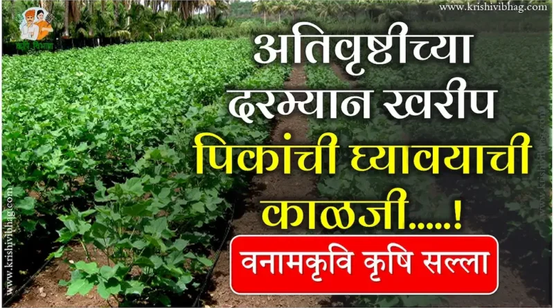 Excess Rainfall Crop Care Vnmkv (1)