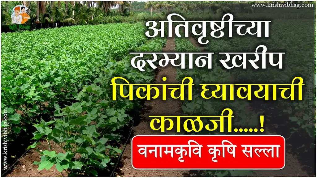 Excess Rainfall Crop Care Vnmkv (1)