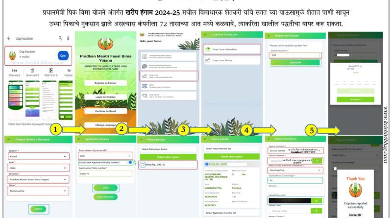 अशी करा पिक विमा तक्रार Flow Chart