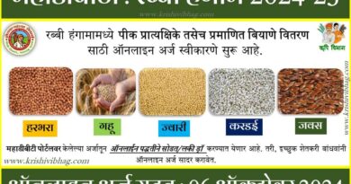 महाडीबीटी रब्बी बियाणे हरभरा करडई गहू ज्वारी जवस mahadbt seeds