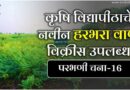 Parbhani Chana 16 परभणी चना 16 हरभरा वाण