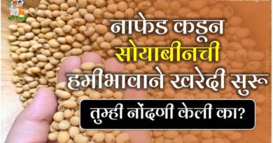 Soybean Procurement