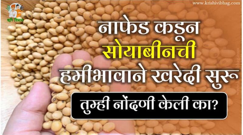 Soybean Procurement