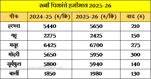 Rabi Msp 2025