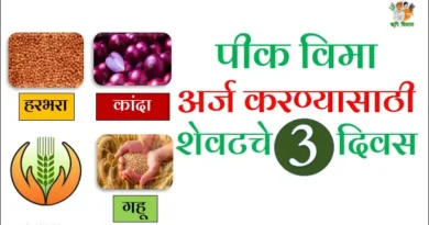 Rabi Crop Insurance 2024 Last Date