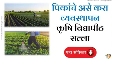 Crop Advisory vnmkv parbhani