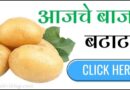 Potato Bajar Bhav बाजार भाव