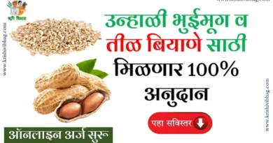 Mahadbt Farmer Seeds Summer