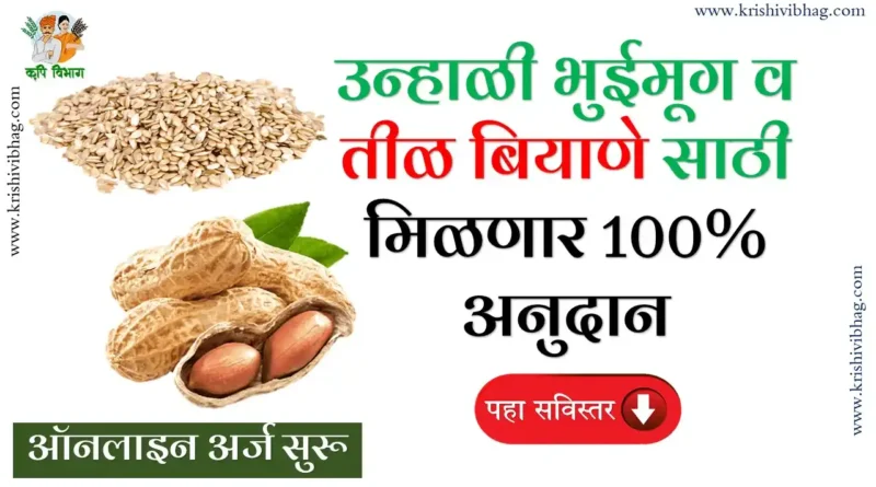 Mahadbt Farmer Seeds Summer