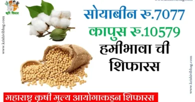 Soybean Msp 2025 26 महाराष्ट्र कृषी मूल्य आयोगाकडून सोयाबीन