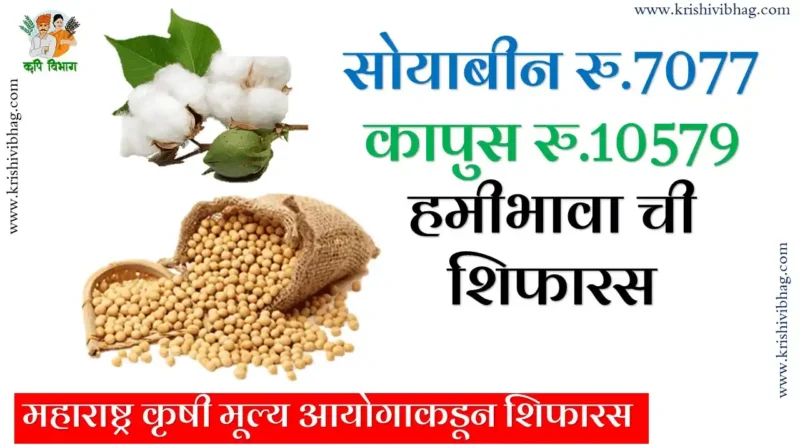 Soybean Msp 2025 26 महाराष्ट्र कृषी मूल्य आयोगाकडून सोयाबीन